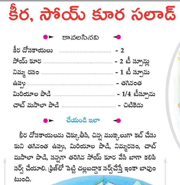 TELUGU WEB WORLD keera dosa kaya salad and curry making in telugu recipes
