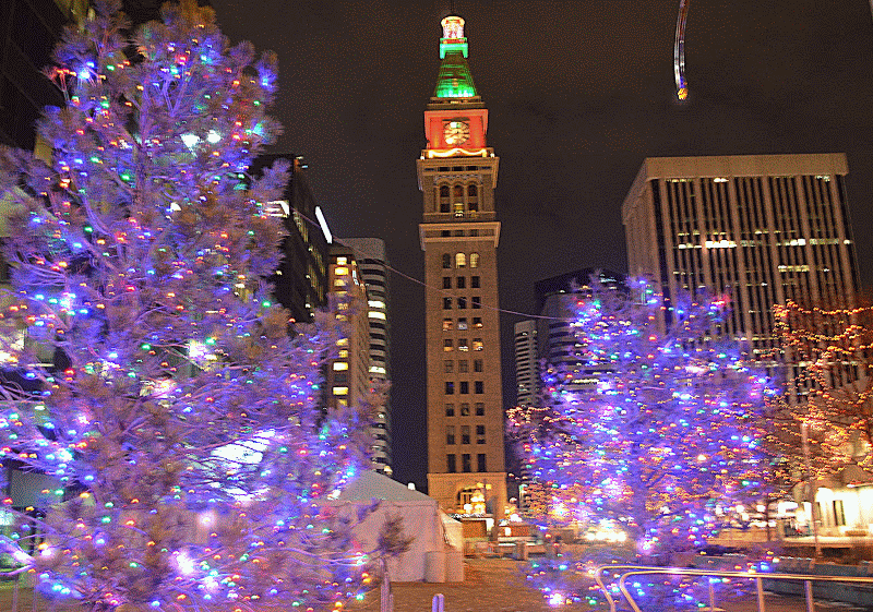 Mille Fiori Favoriti: Denver Christmas Lights!! Denver Christmas Lights!! - Mille Fiori Favoriti: Denver Christmas Lights!!