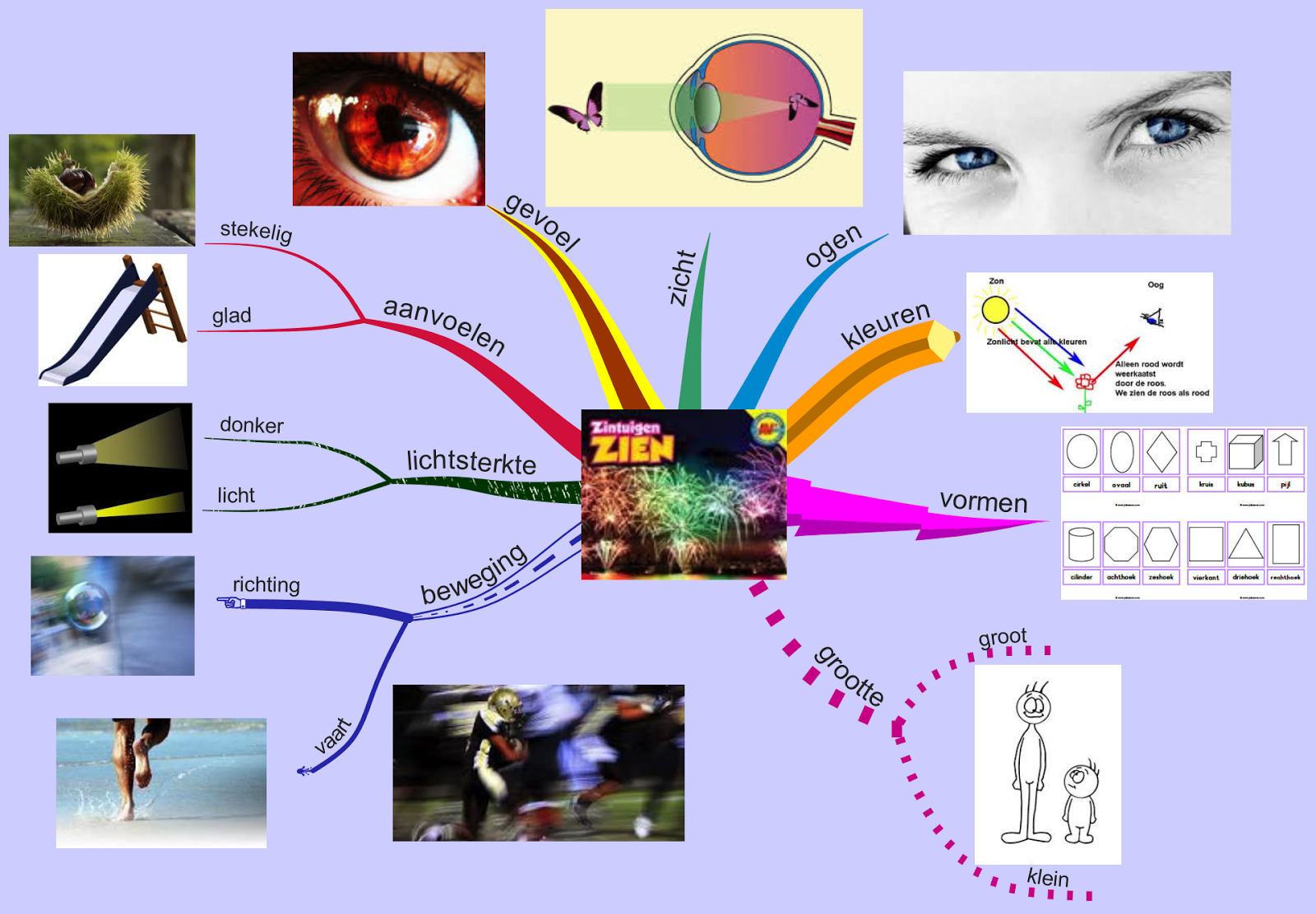 Eigenwijs in onderwijs Zintuigen horen voelen