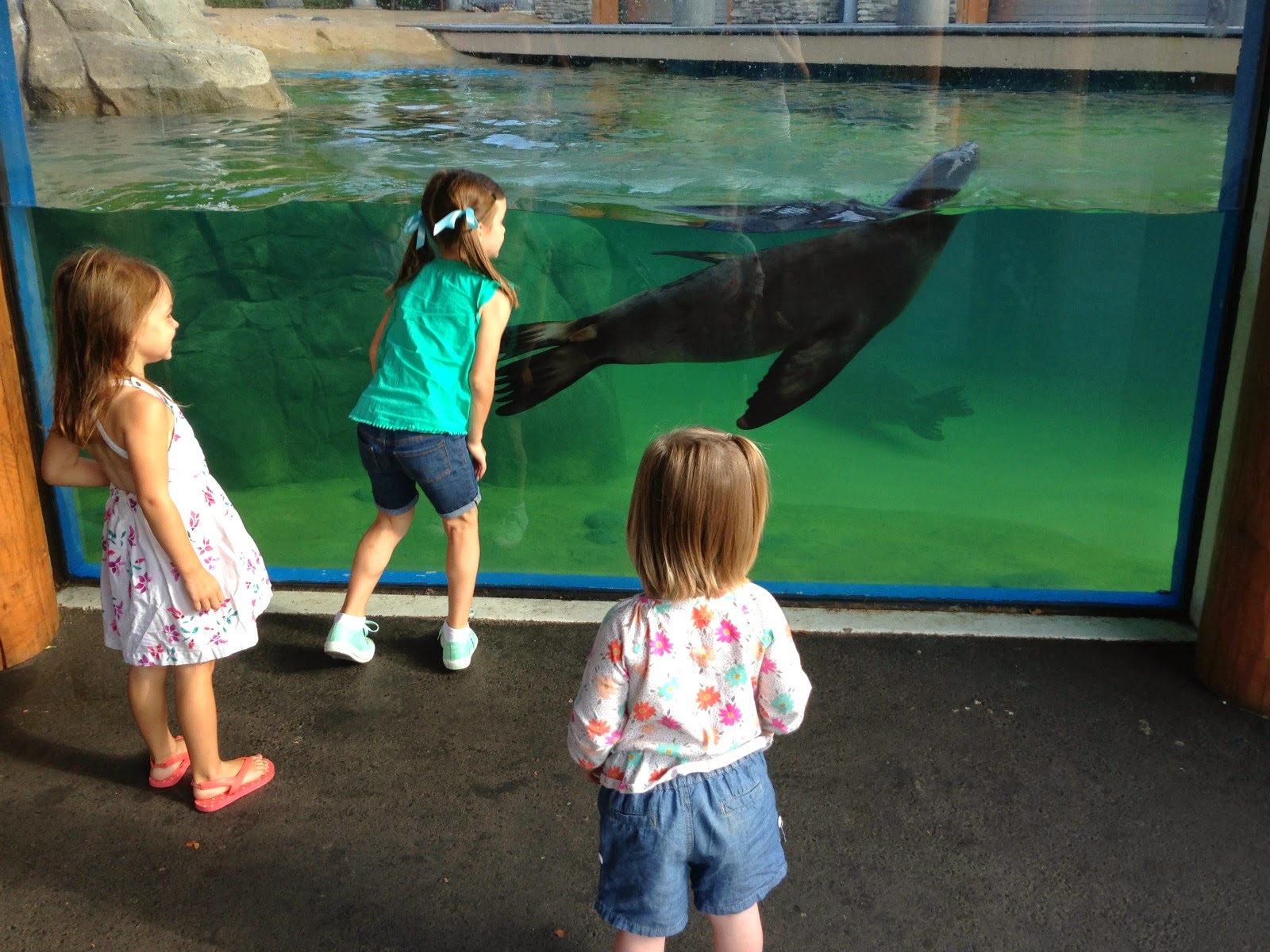 the hawkins family Turtle Back Zoo