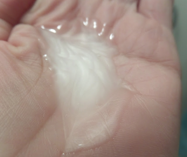 maple holistics hydrate moisture control shampoo