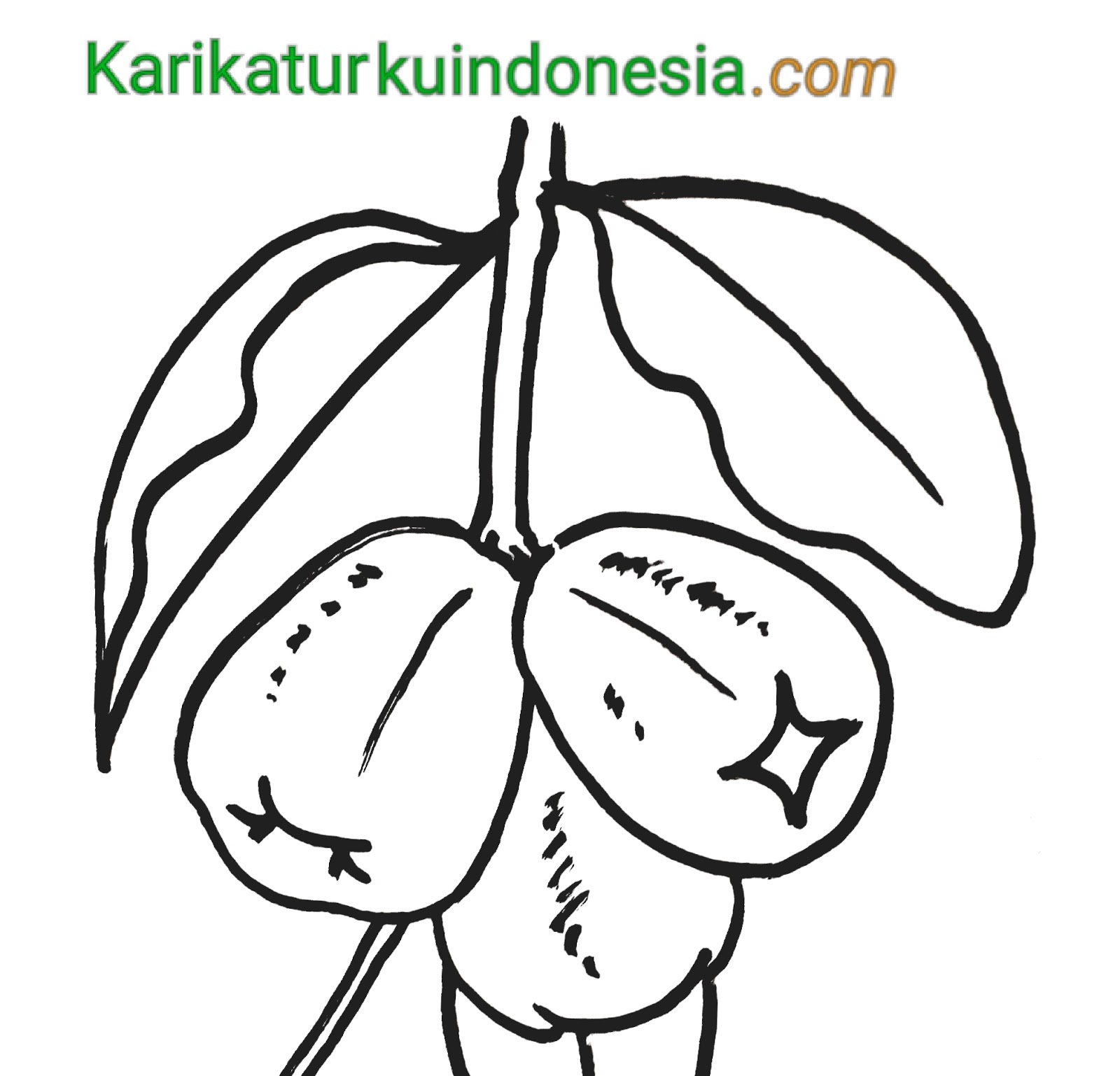 Contoh Gambar Mewarnai Gambar Jambu Monyet - KataUcap
