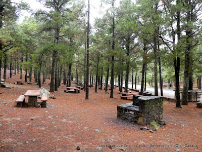 Zona de asaderos en los Llanos de la Pez Zona de asaderos en los Llanos de la Pez