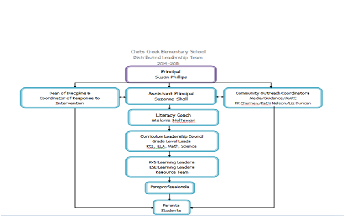 Coaching Chronicles: Distributed Leadership Team