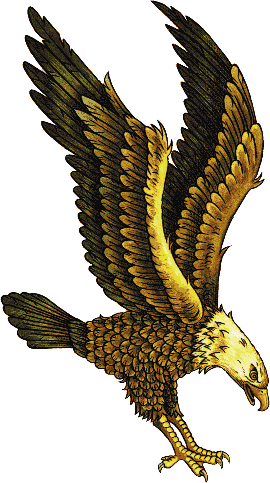 Eagle Tattoos Designs [Eagle Tattoo Designs] - YouTube