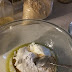 MISIR EKMEĞİ