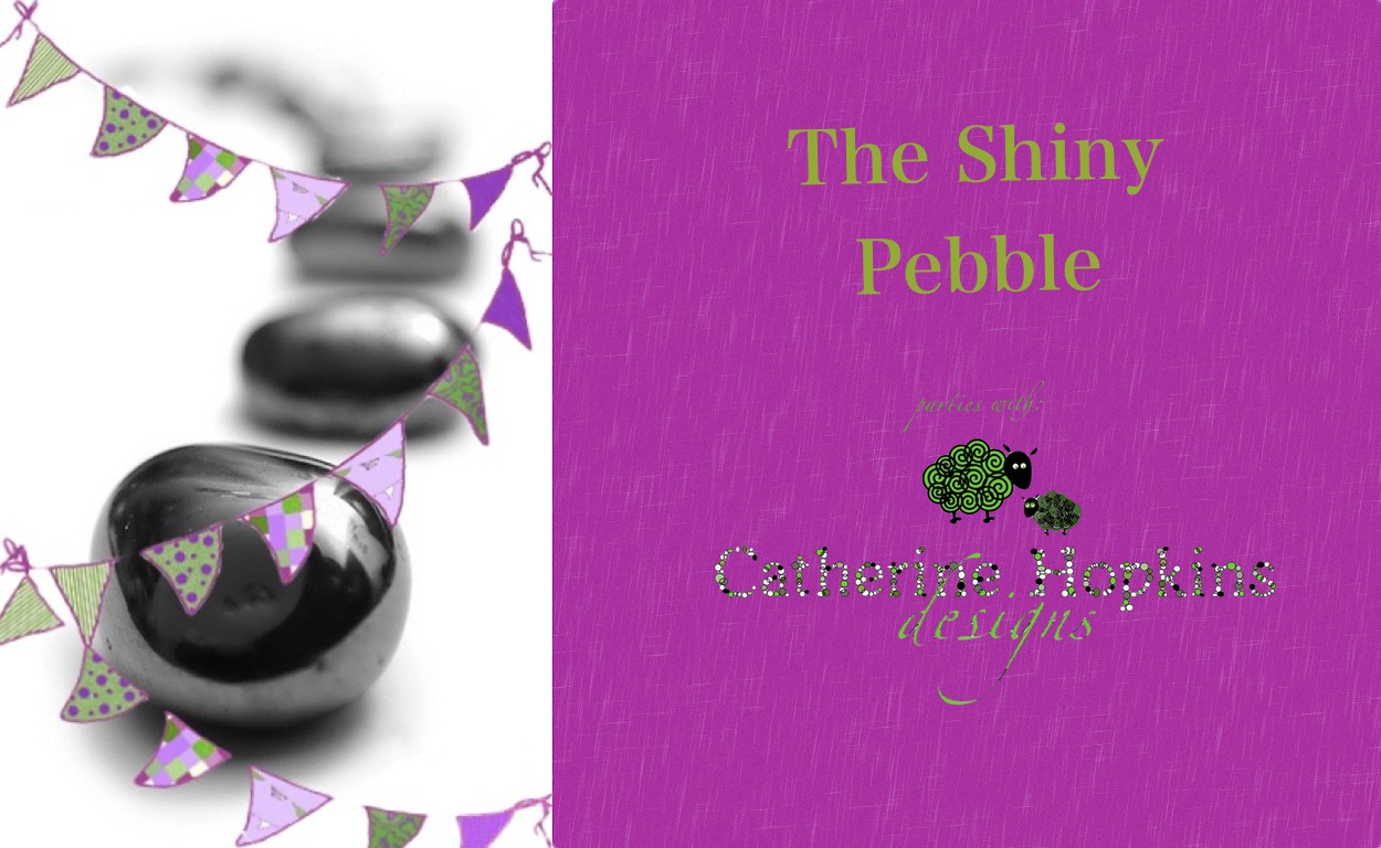 The Shiny Pebble