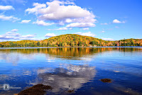 Fall Foliage