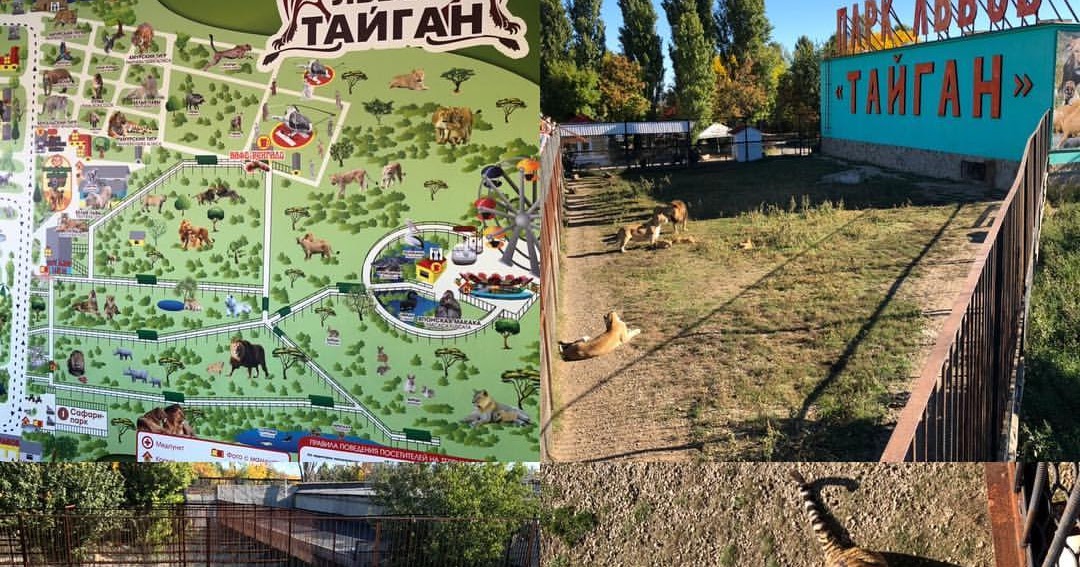 Ограждения парка тайган. Как доехать до тайгана. Как доехать до тайгана. Как доехать до тайгана. Парк тайган на карте крыма.