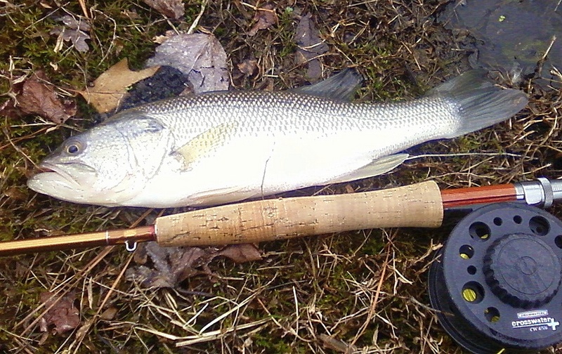 Feather Chucker White Bass Flies