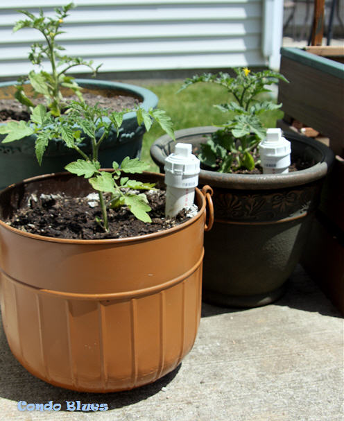 how to make a self watering garden planter