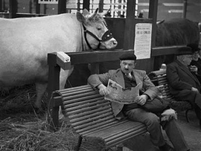 George orwell shooting an elephant essay