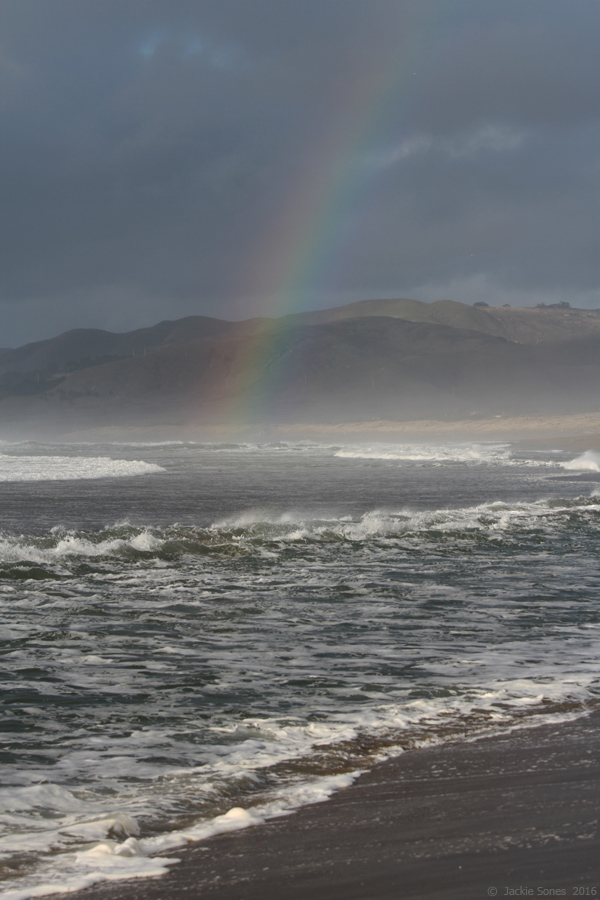 The Natural History of Bodega Head Scattered showers