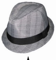 Chapéu modelo Trilby rodeio 2017