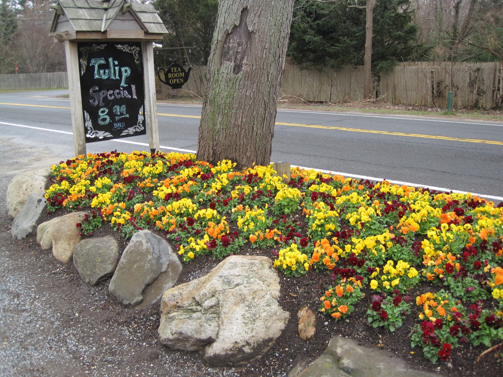 Gardening and Gardens: Bright Color Combinations