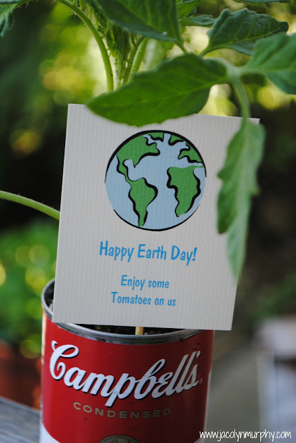 Jac o' lyn Murphy: Strawberries and Tomatoes for Earth Day