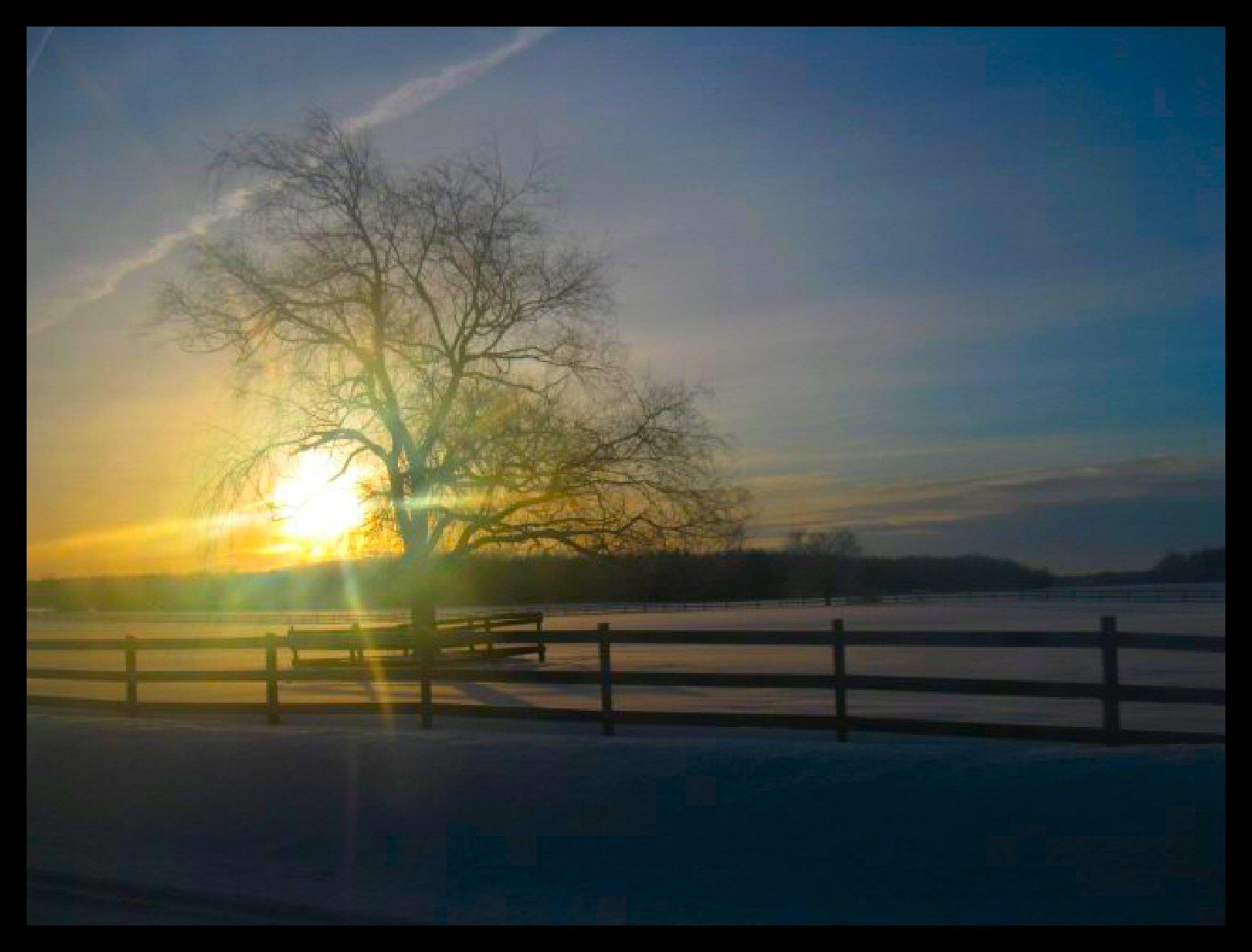 Dufferin County Jobs and Destruction