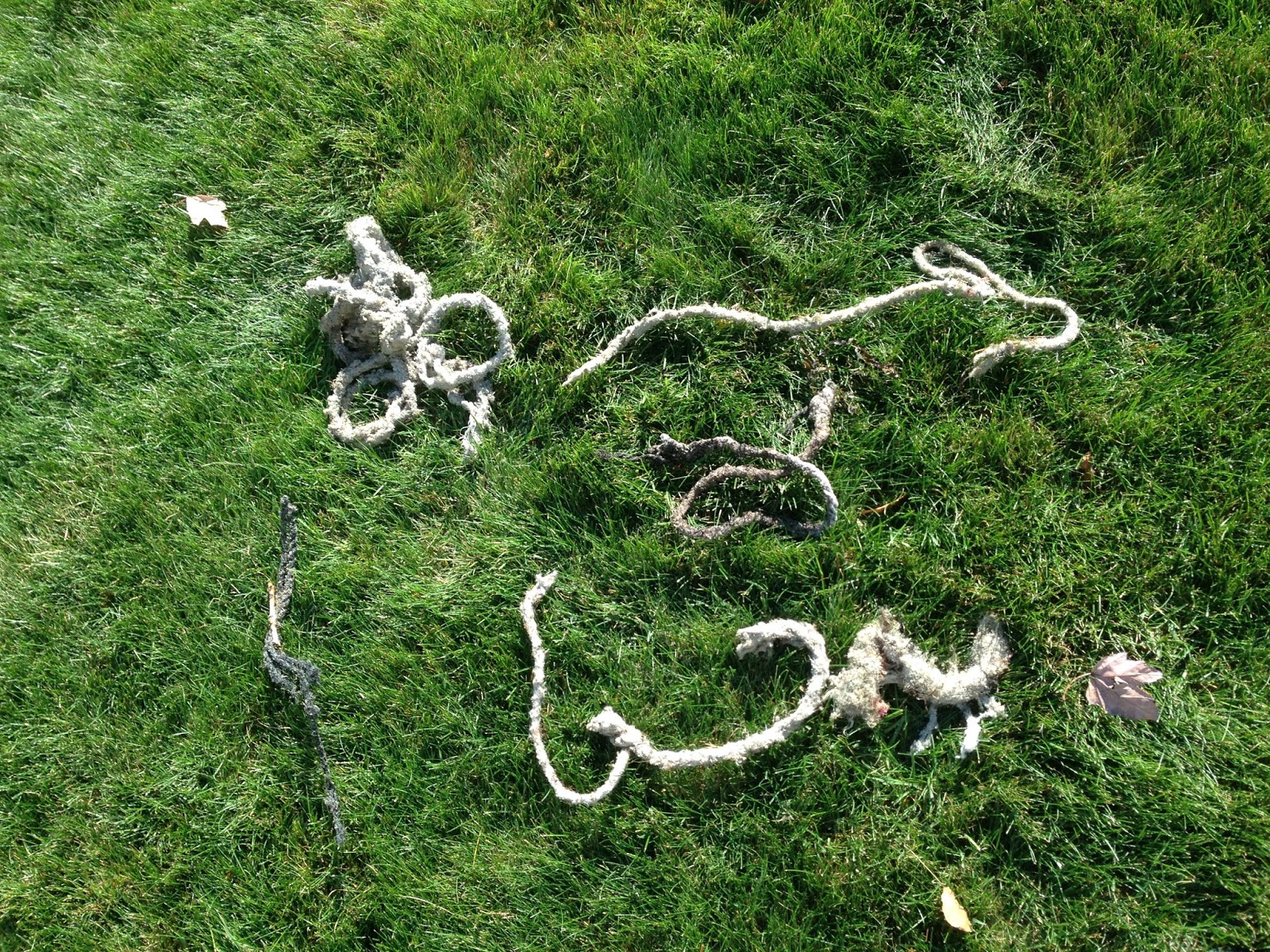 The Flotsam Diaries: November 2013