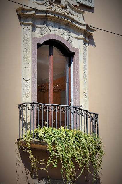 _DSC0395%2B%25282%2529.JPG