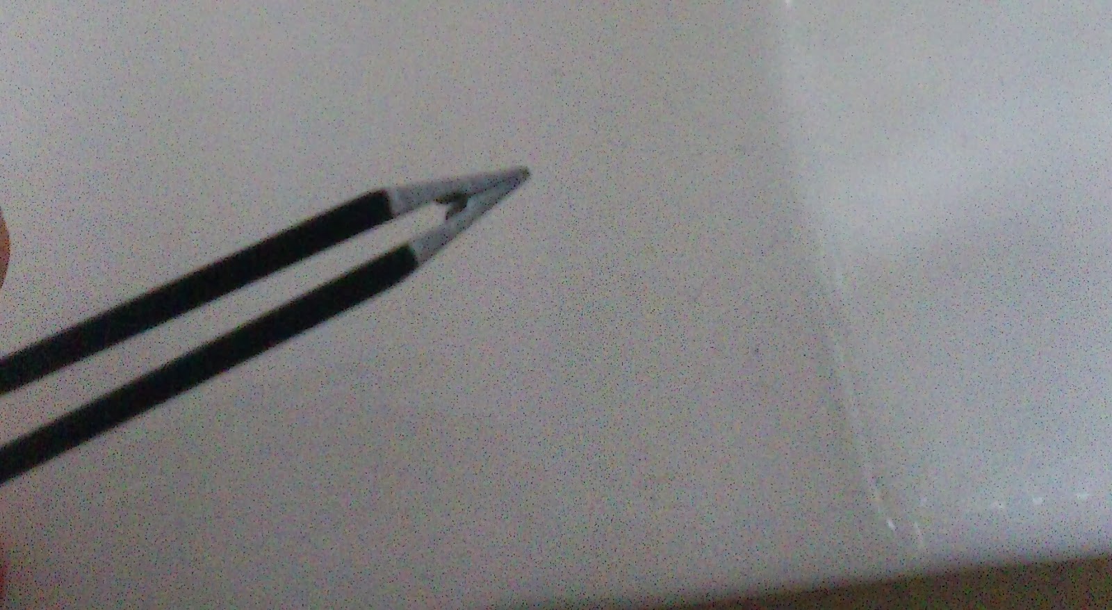 Lucciola [Produkttest] Kiko Pinzette Tweezers