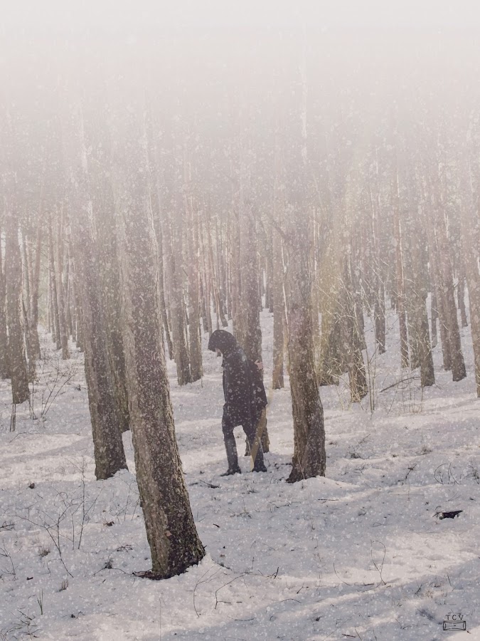 fotagrafía-digital-en-la-nieve