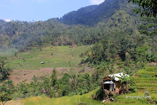 situs baturrana karanglewas banyumas