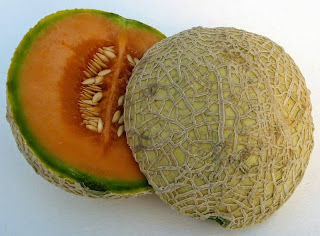 Muskmelon