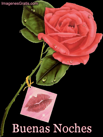 Imágenes con Frases de Flores para dar las Buenas Noches - ※ Dias de la