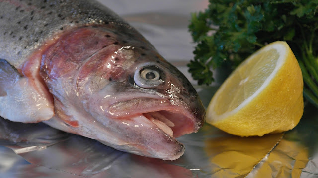 Salmon TipTop Foods To Lose Weight Fast