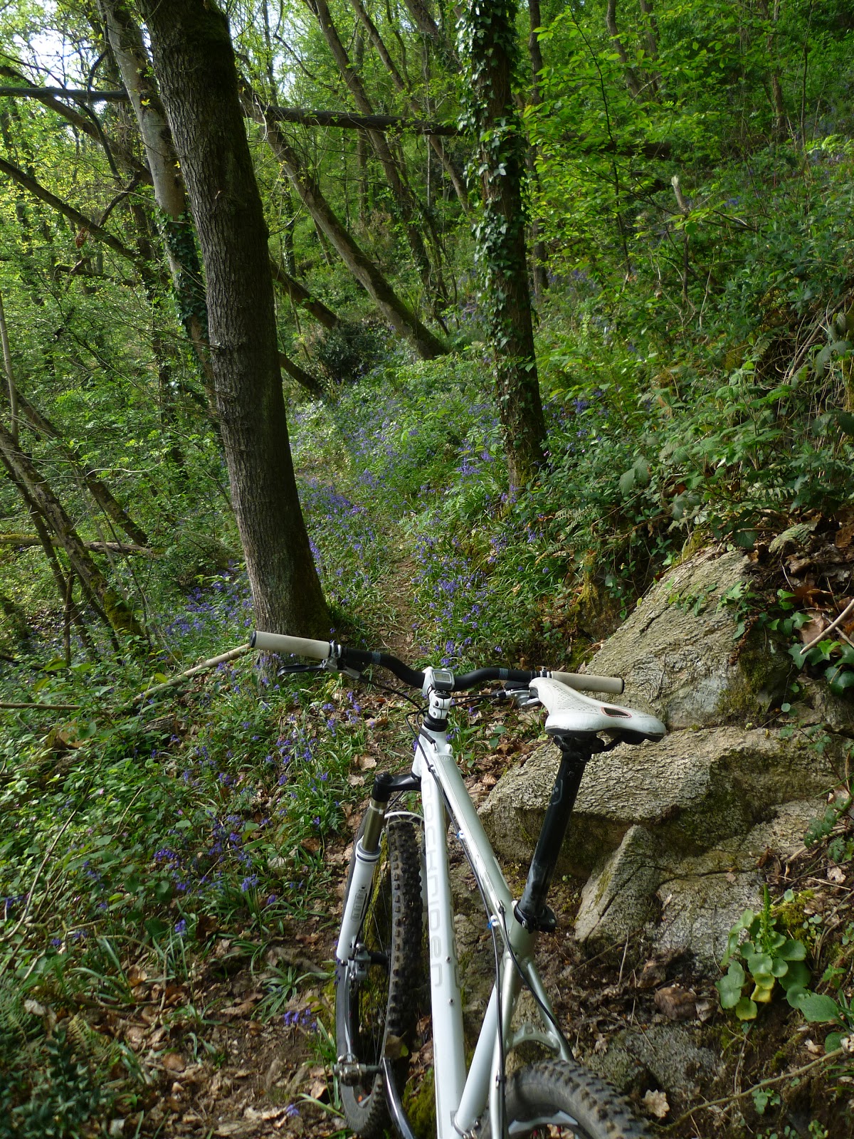 Un petit bout de chemin... Retour à la nature...