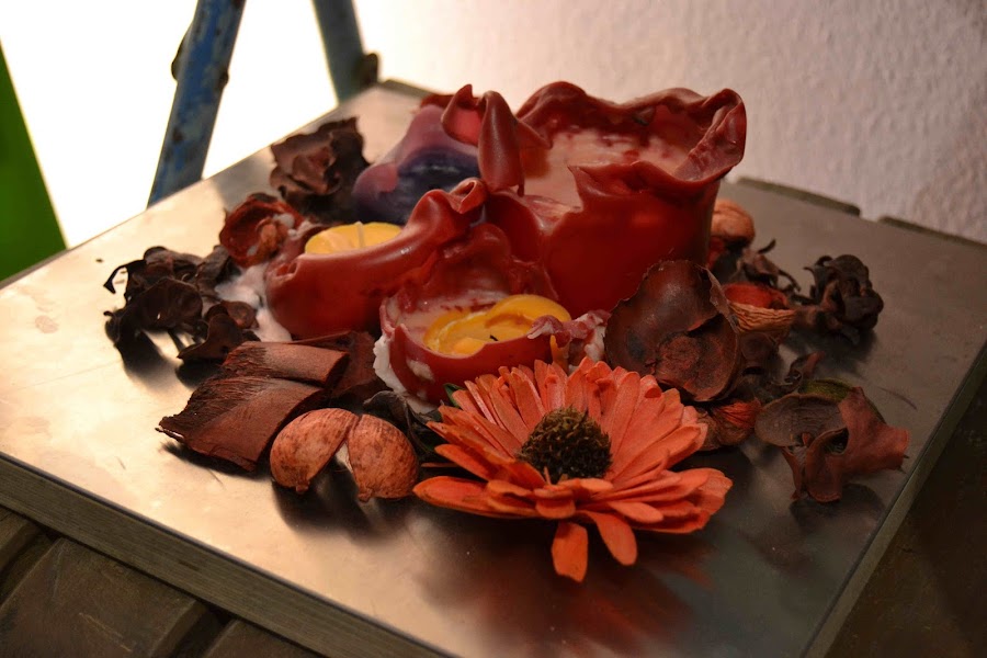 "Espai 208 Shop and Events"