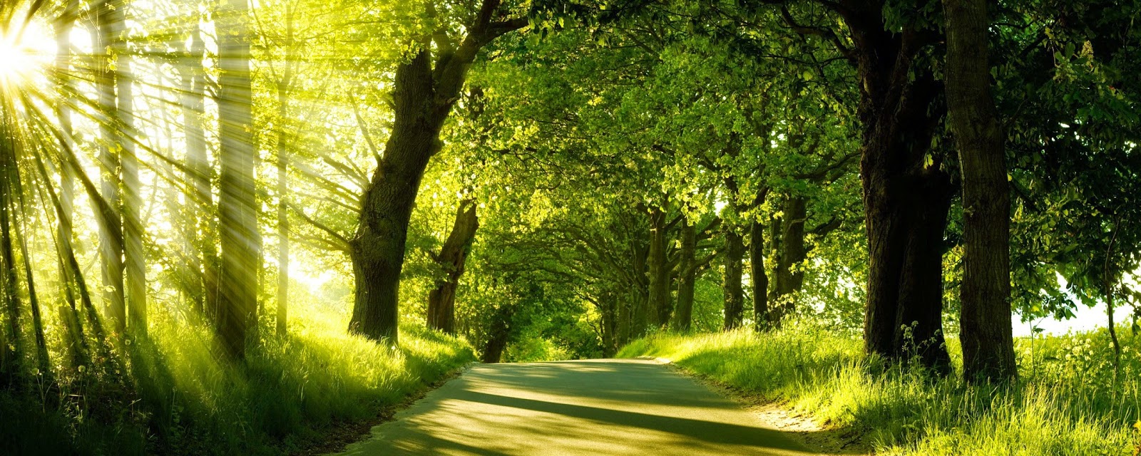 Best Nature Photos Wallpaper Best Nature Photos Wallpaper