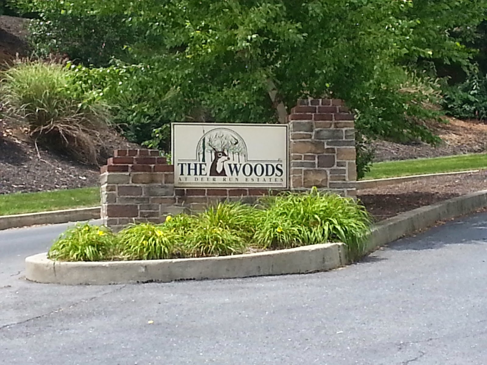 Premier lot in the Woods at Deer Run Estates