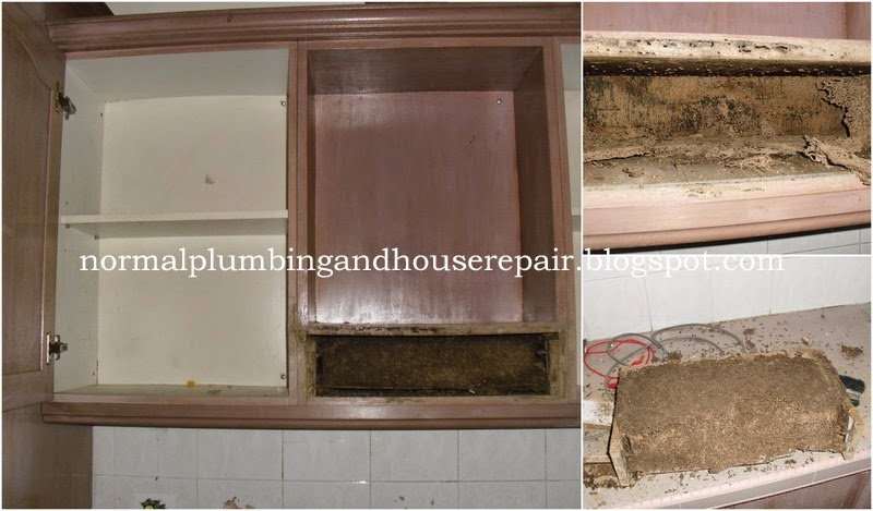 Normal Plumbing Membaiki Semula Kabinet Dapur Yang Dimakan Anai Proses Mengeluarkan Sarang Anai Dan Kemudian Kabinet Ini