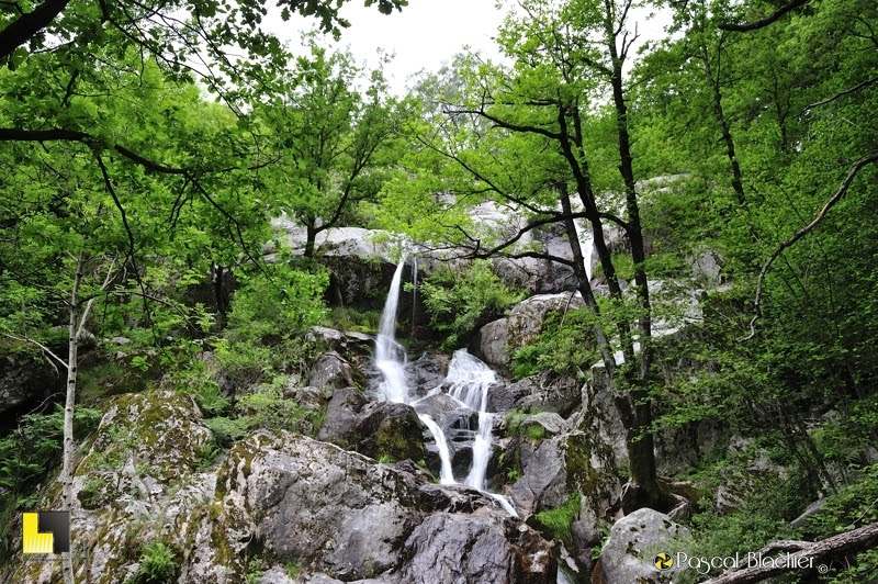 cascade de montselgues au coeur de la foret ardéchoise photo Pascal Blachier