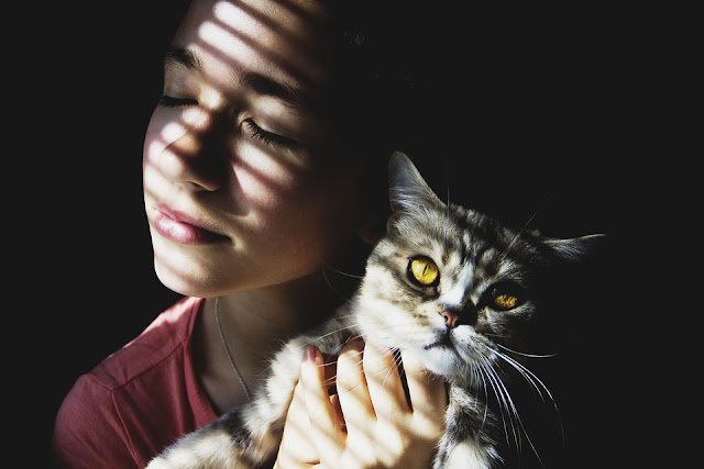 Cat Story Cat Story