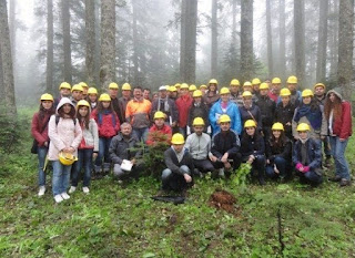 orman mühendisliği kadroları orman mühendisliği kadroları