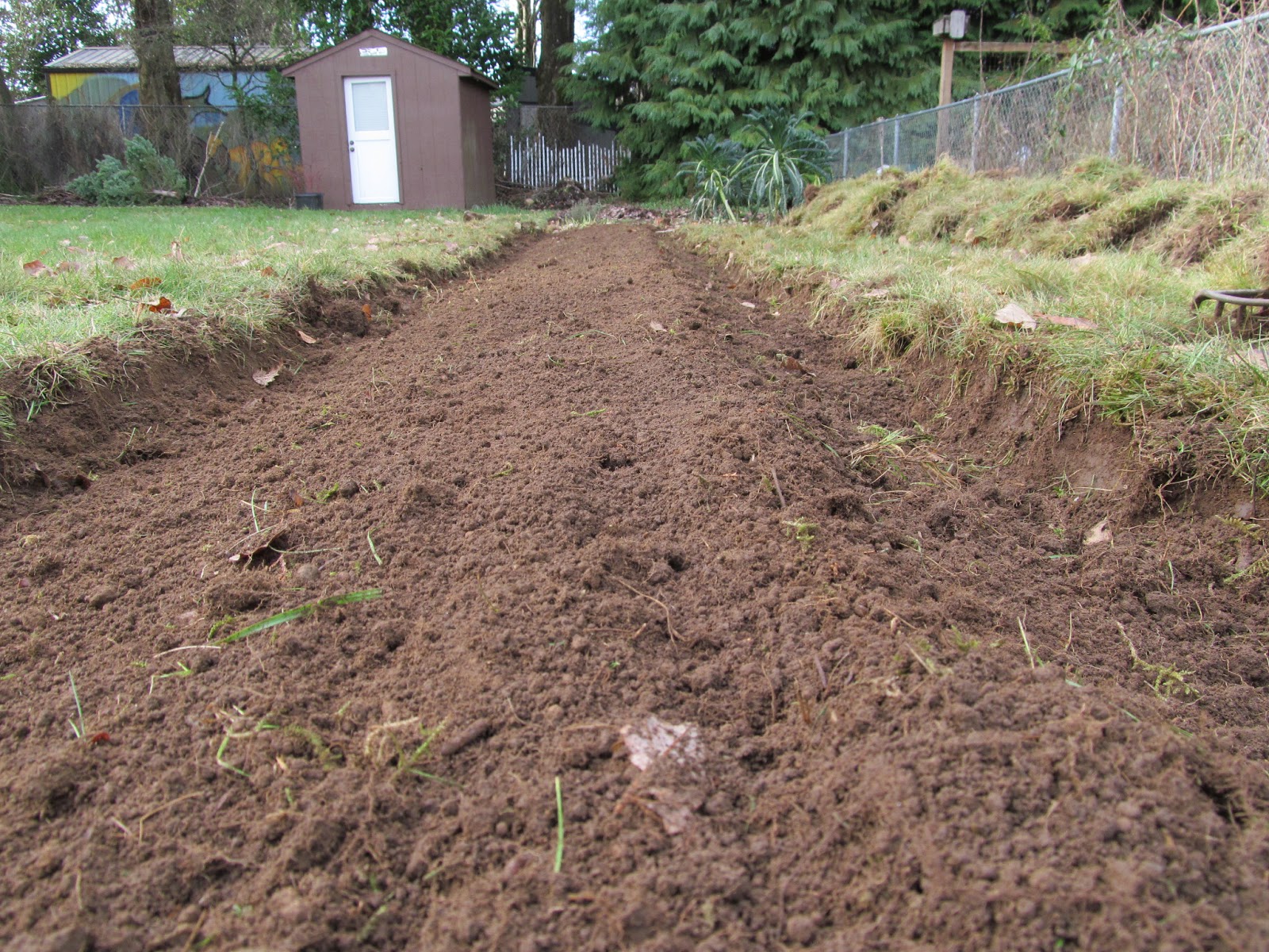 Urban Greenstead New Ground Making a New Garden Bed