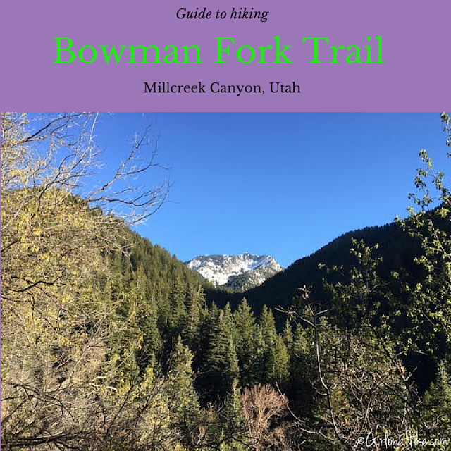 The 7 Best Trails in Millcreek Canyon, Hiking in Utah with Dogs, Bowman Fork Trail