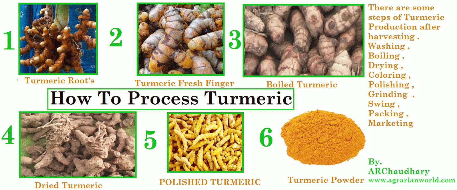 Agrarian World Turmeric Process By