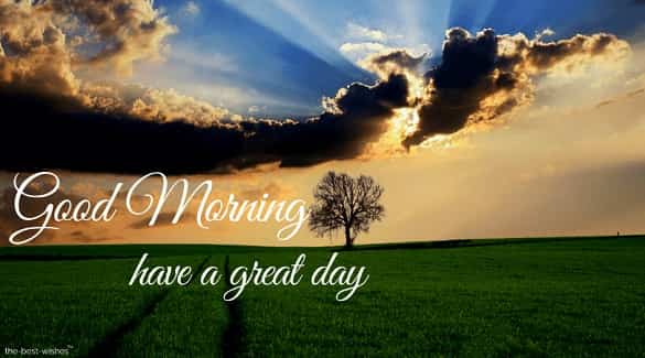 have-a-great-day-photo have a great day photo
