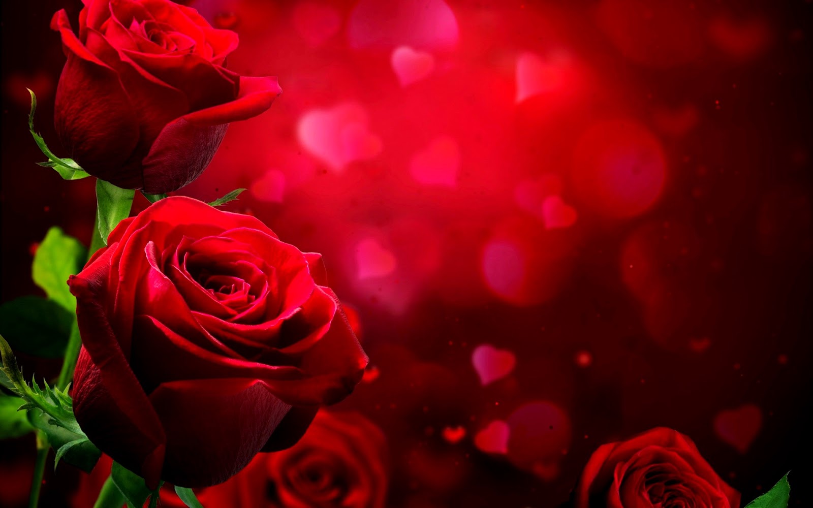 Beautiful Love Hd Wallpapers Loving Hearts Background Photos