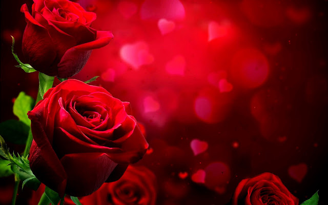 love wallpaper hd, loving hearts wallpapers, red roses for couples photos full size