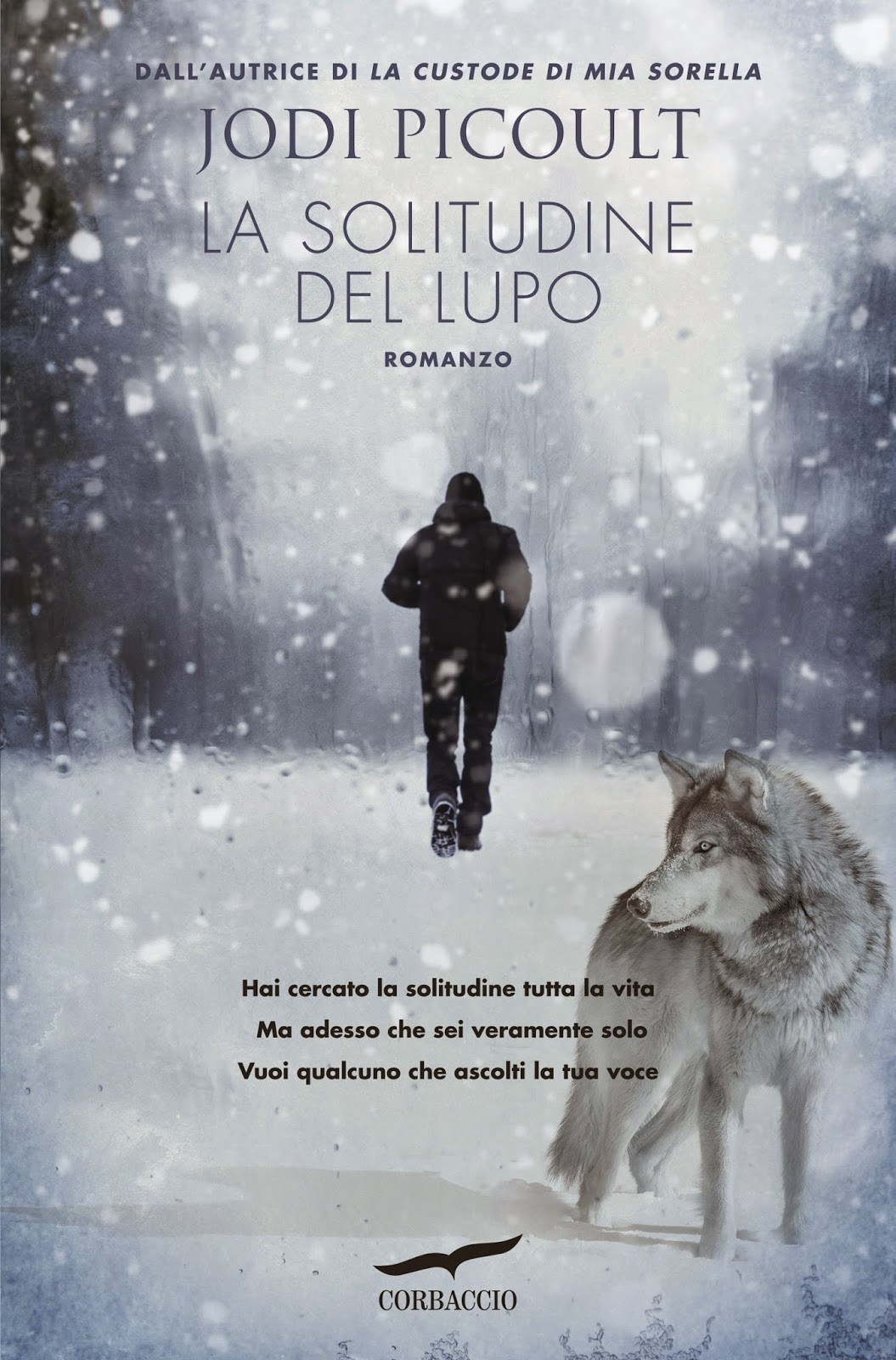 Il Libro Delle Due Vie Jodi Picoult