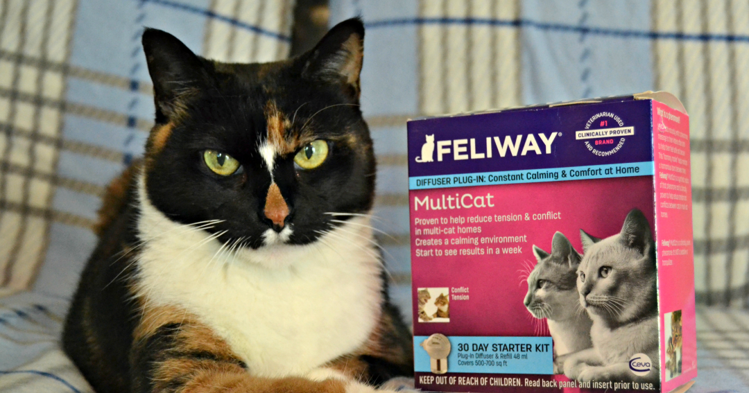 Feliway wipes petsmart sale