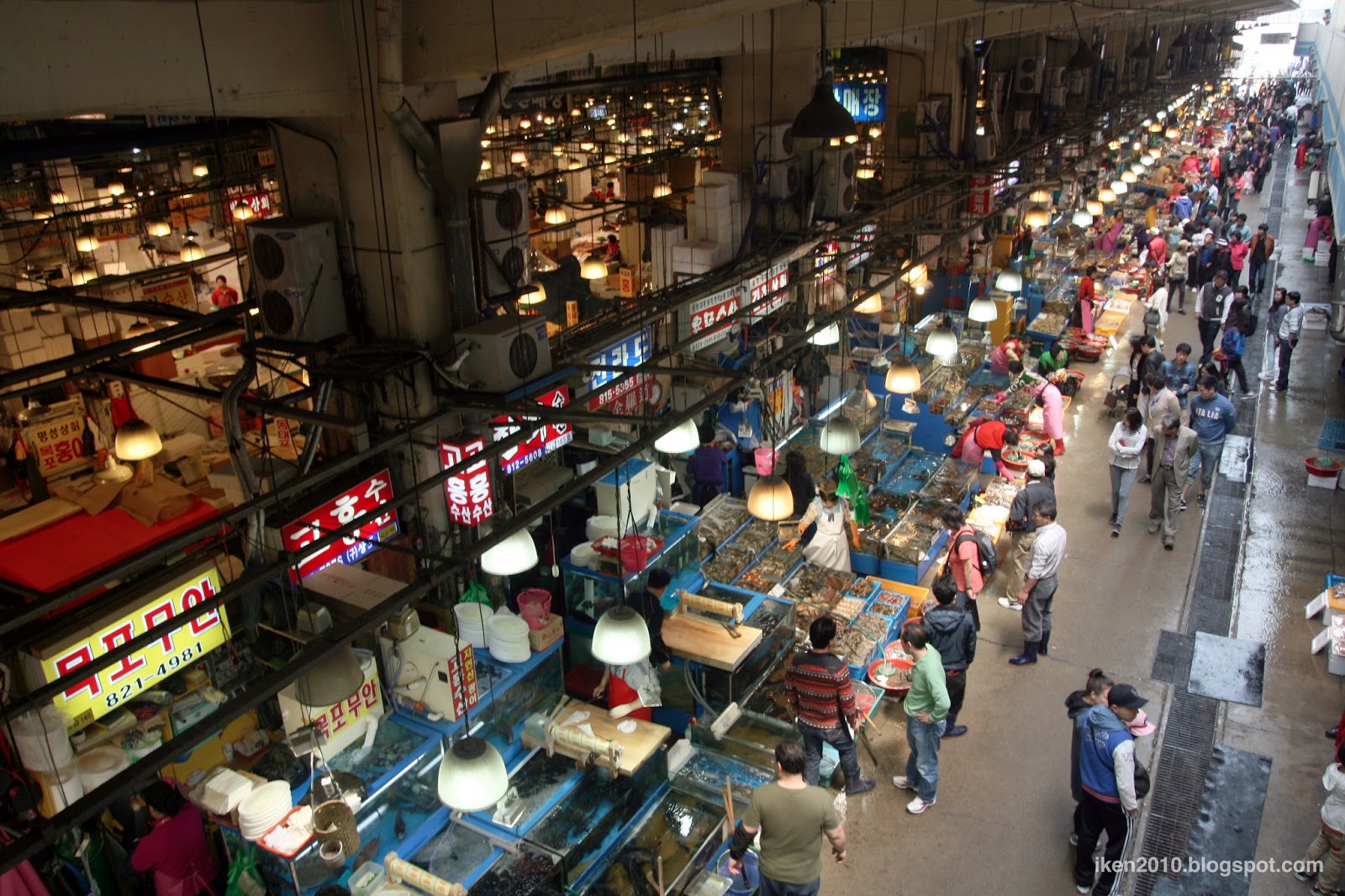 Fishing Trip Insurance Wholesale Fish Market Chicago