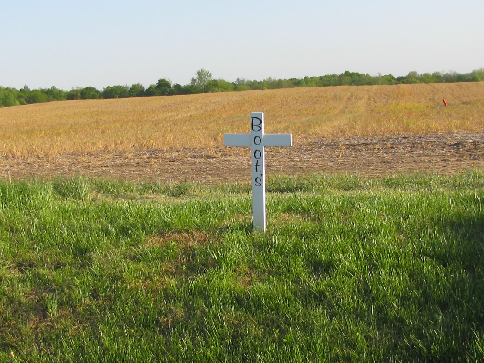 A Grave Interest Cross By the Side of the Road