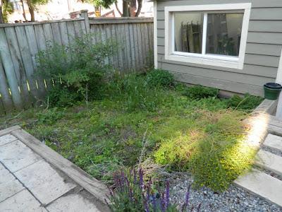Xeriscape Leslieville garden install before by Paul Jung Gardening Services Toronto