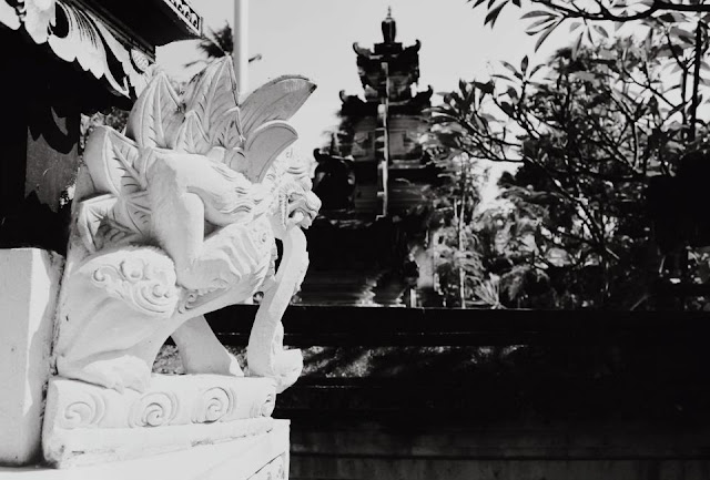 The black and white bali photography by nadine friedman
