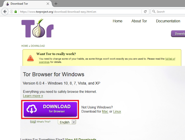 proxy browser for tor hudra